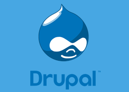 Best and Cheap Drupal Hosting Providers Offering Powerful Support in UK