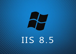 Which Hosting Service Should I use for IIS 8.5 in UK ?