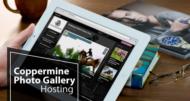 Finding the Best and Cheap Coppermine Photo Gallery Hosting in UK That Offers High Uptim