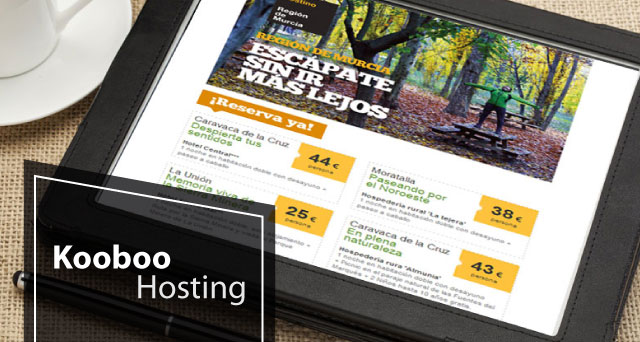 What Web Hosting is Best and Cheap Kooboo CMS 4.3 Hosting in UK?