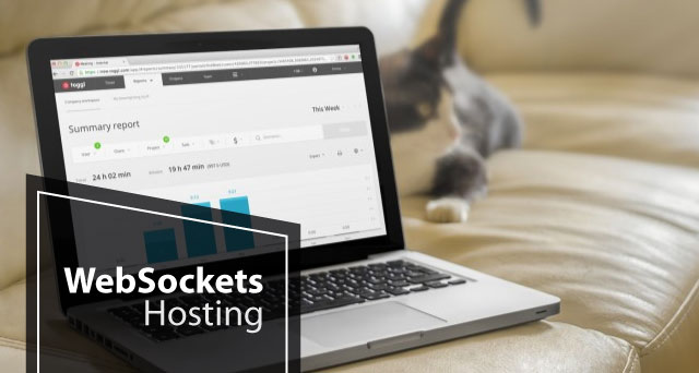 Is There Any Hosting Services that Offer Best and Cheap ASP.NET 4.5 WebSockets Hosting